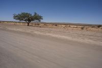 Endless Road in South Africa Desert Horizon