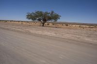 Endless Road in South Africa's Desert Horizon