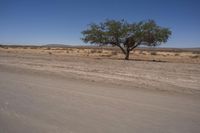 Endless Road in South Africa Desert Horizon 004