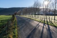 an empty road with a view of the sun coming through trees on either side of it