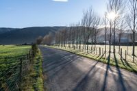 an empty road with a view of the sun coming through trees on either side of it