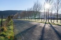 an empty road with a view of the sun coming through trees on either side of it