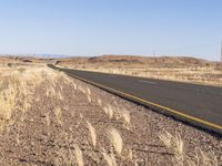 an empty highway surrounded by tall grass and mountains in the distance, looking toward the horizon