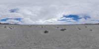 a desert with some trees and rocks in the middle of it, and cloudy skies above