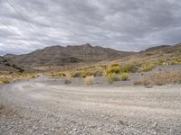 Endless Road in Utah's Desert Wilderness