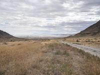 Endless Road through Utah's Highland Landscape