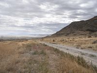 Endless Road through Utah's Highland Landscape