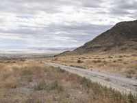 Endless Road through Utah's Highland Landscape