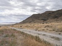 Endless Road through Utah's Highland Landscape