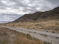 Endless Road through Utah's Highland Landscape