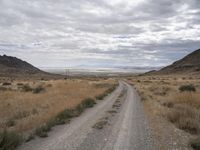 Endless Road in Utah Landscape