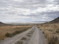 Endless Road in Utah Landscape