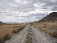 Endless Road in Utah Landscape