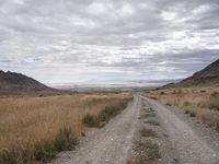 Endless Road in Utah Landscape