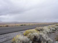 the empty road has many bushes and weeds growing along it as an overcast sky