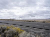 road and yellow flowers with cloudy skies in background, near rural area with water and mountains