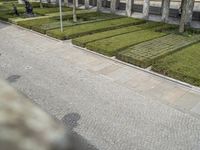 there is a large number of green plants on a sidewalk that looks like grass in the park