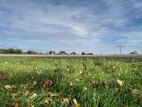 Autumn Scenery in Europe: Exploring Germany's Countryside