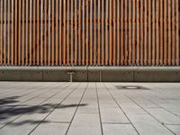 a group of people riding skateboards near wooden panels and stairss with artwork on them