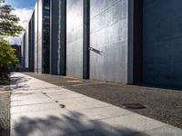 a man is riding a skateboard on the sidewalk near a building near a tree