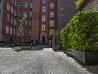 a green shrub near a gray building and a brick walkway with a bicycle rack in it