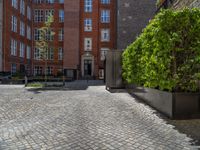 a green shrub near a gray building and a brick walkway with a bicycle rack in it