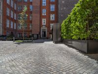 a green shrub near a gray building and a brick walkway with a bicycle rack in it