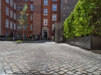 a green shrub near a gray building and a brick walkway with a bicycle rack in it