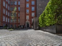 a green shrub near a gray building and a brick walkway with a bicycle rack in it