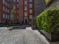 a green shrub near a gray building and a brick walkway with a bicycle rack in it