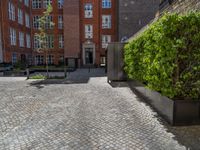 a green shrub near a gray building and a brick walkway with a bicycle rack in it