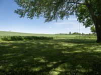 the shadow of a tree on grass, with a field in the background and a blue sky