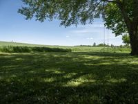 the shadow of a tree on grass, with a field in the background and a blue sky