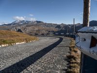 Europe's Cobblestone Road: Surrounded by Nature and Vegetation