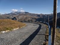 Europe's Cobblestone Road: Surrounded by Nature and Vegetation