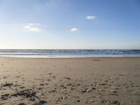 the sky is clear and blue above a beach with waves in the distance, and footprints on the sand, and in front of the shore