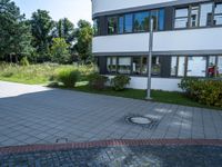 a building with a paved driveway and grass and plants in front of it in the daylight