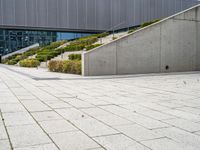 a view of steps from building to a staircase with shrubbery lining the walkway and bushes in front of it