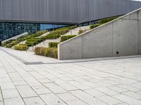 a view of steps from building to a staircase with shrubbery lining the walkway and bushes in front of it