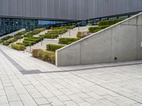 a view of steps from building to a staircase with shrubbery lining the walkway and bushes in front of it