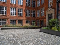 several plants sit in decorative concrete planters along the sidewalk of a building that is very modern