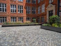 several plants sit in decorative concrete planters along the sidewalk of a building that is very modern