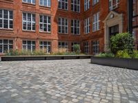 several plants sit in decorative concrete planters along the sidewalk of a building that is very modern