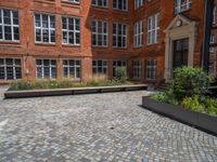 several plants sit in decorative concrete planters along the sidewalk of a building that is very modern