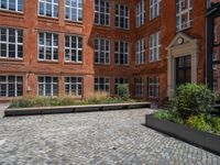 several plants sit in decorative concrete planters along the sidewalk of a building that is very modern