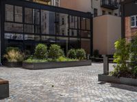 several plants sit in decorative concrete planters along the sidewalk of a building that is very modern