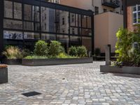 several plants sit in decorative concrete planters along the sidewalk of a building that is very modern