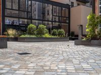 several plants sit in decorative concrete planters along the sidewalk of a building that is very modern