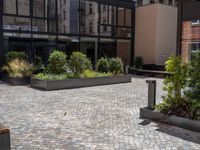 several plants sit in decorative concrete planters along the sidewalk of a building that is very modern