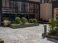 several plants sit in decorative concrete planters along the sidewalk of a building that is very modern